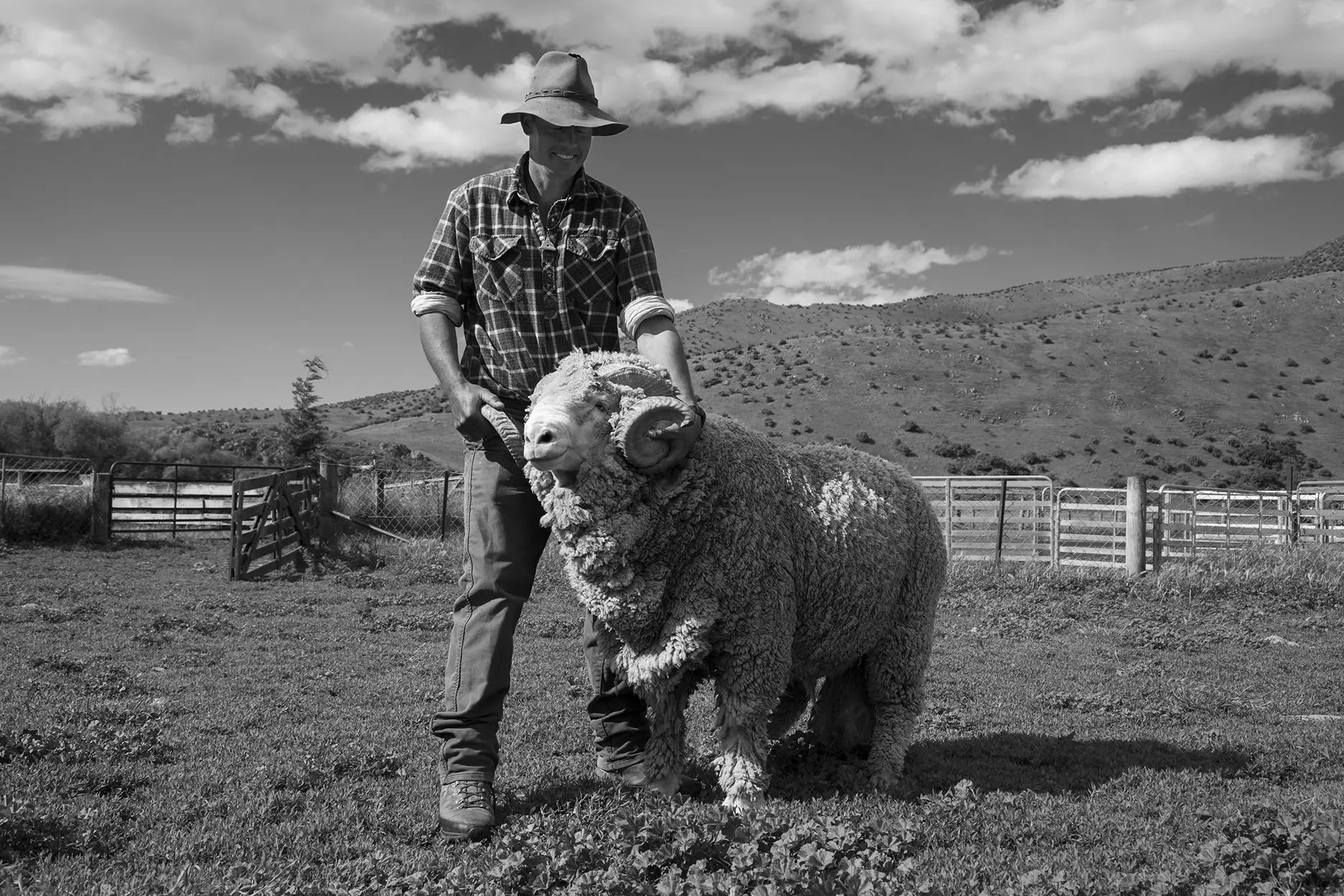 A smiling farmer in a hat and plaid shirt stands in a grassy paddock, holding a large, curly-horned sheep; hills and a partly cloudy sky are visible in the background.